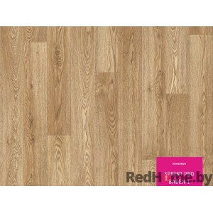 Линолеум Tarkett Sprint PRO Баден 1